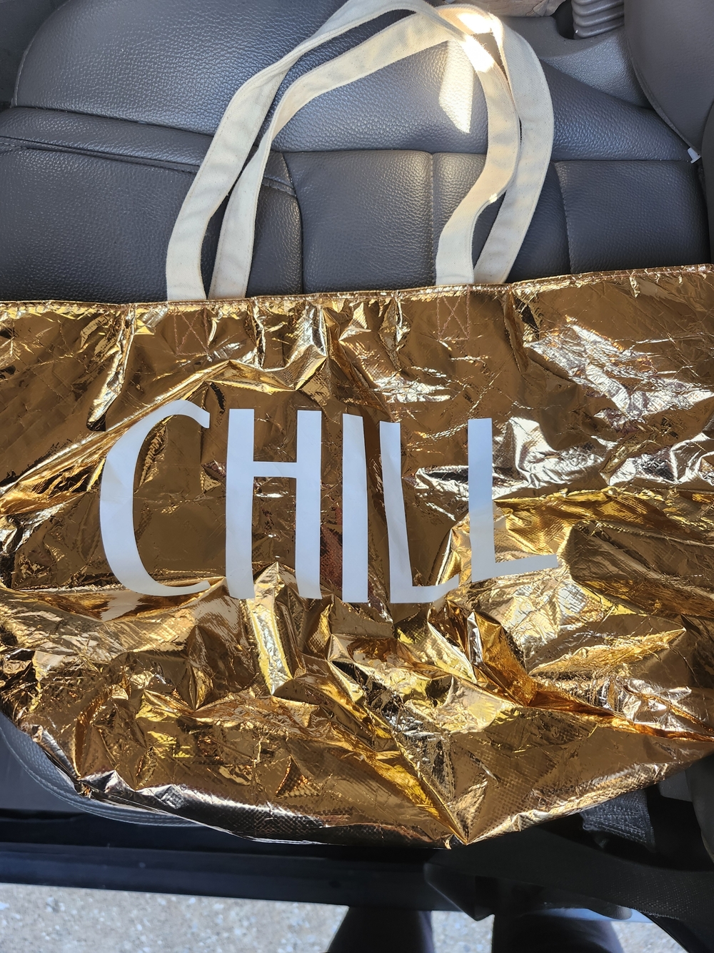 Bath & Body Works CHILL Metallic Gold Insulated Zip Up Tote